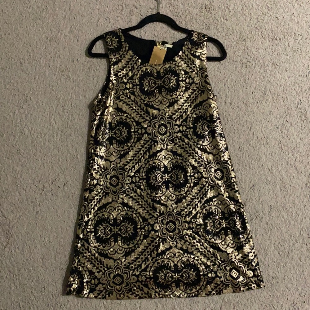 NWT Francesca’s sequence dress